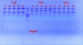 Thumbnail for version as of 15:16, 30 January 2012