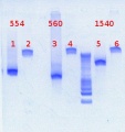Thumbnail for version as of 10:00, 15 February 2013