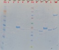 Thumbnail for version as of 17:16, 14 August 2018