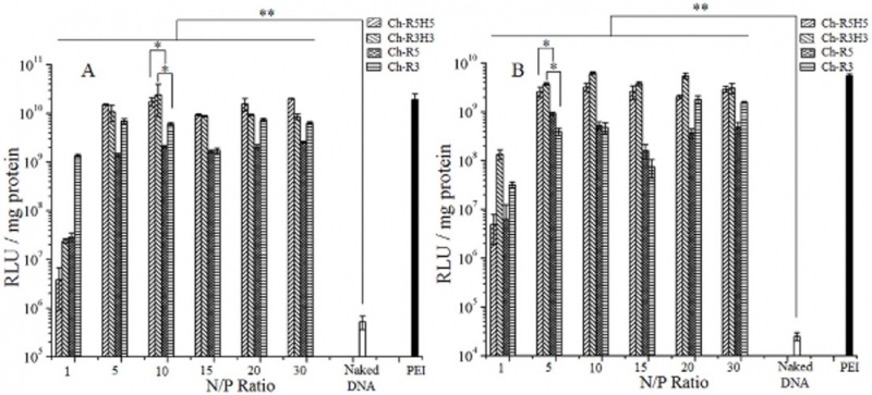 File:Peptide chl-conjugate transfection.jpg