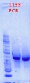 Thumbnail for version as of 13:24, 5 May 2012