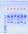 Thumbnail for version as of 10:13, 7 June 2012