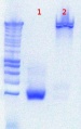 Thumbnail for version as of 15:45, 31 July 2012