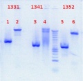 Thumbnail for version as of 11:43, 4 September 2012