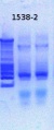 Thumbnail for version as of 09:51, 22 January 2013