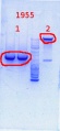 Thumbnail for version as of 15:54, 2 December 2013