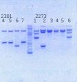 Thumbnail for version as of 12:28, 22 August 2014