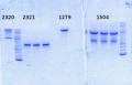Thumbnail for version as of 13:47, 24 September 2014