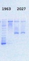 Thumbnail for version as of 15:24, 17 January 2014