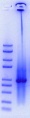 Thumbnail for version as of 15:02, 6 October 2017