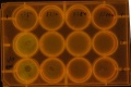 Thumbnail for version as of 14:22, 26 March 2011