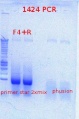 Thumbnail for version as of 10:20, 25 October 2012