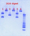 Thumbnail for version as of 11:30, 1 March 2013