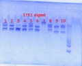 Thumbnail for version as of 16:51, 13 June 2013