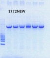 Thumbnail for version as of 15:42, 18 July 2013