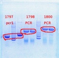 Thumbnail for version as of 11:34, 23 July 2013