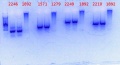 Thumbnail for version as of 14:50, 10 July 2014