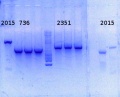 Thumbnail for version as of 14:27, 13 October 2014