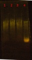 Thumbnail for version as of 15:08, 9 July 2014