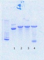 Thumbnail for version as of 11:48, 9 September 2016