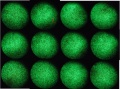 Thumbnail for version as of 18:41, 15 November 2011