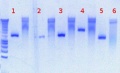 Thumbnail for version as of 15:16, 24 August 2012
