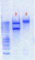 Thumbnail for version as of 15:20, 17 July 2012