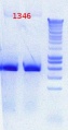 Thumbnail for version as of 15:57, 21 August 2012