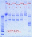 Thumbnail for version as of 18:51, 3 March 2013