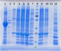 Thumbnail for version as of 16:25, 3 November 2014