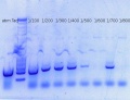 Thumbnail for version as of 16:41, 14 October 2015