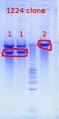 Thumbnail for version as of 14:42, 17 July 2012