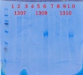 Thumbnail for version as of 14:05, 8 November 2012