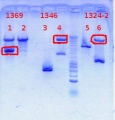 Thumbnail for version as of 15:57, 7 September 2012