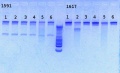 Thumbnail for version as of 14:34, 6 February 2013