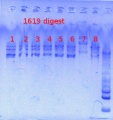 Thumbnail for version as of 12:21, 3 May 2013