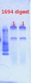 Thumbnail for version as of 13:20, 27 March 2013