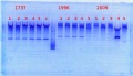 Thumbnail for version as of 16:37, 3 February 2014