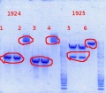 Thumbnail for version as of 10:08, 20 December 2013