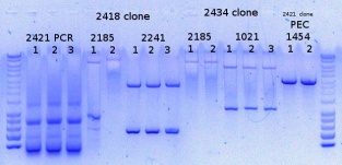 RTENOTITLE