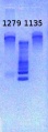 Thumbnail for version as of 16:54, 5 April 2013