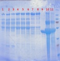 Thumbnail for version as of 13:22, 17 July 2013