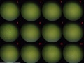 Thumbnail for version as of 11:51, 28 November 2011