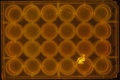 Thumbnail for version as of 12:43, 14 May 2016