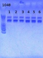 Thumbnail for version as of 15:15, 15 March 2013