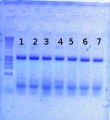 Thumbnail for version as of 14:07, 28 June 2012