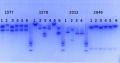 Thumbnail for version as of 16:41, 28 July 2014