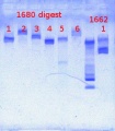 Thumbnail for version as of 15:13, 7 March 2013