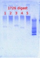Thumbnail for version as of 12:45, 8 April 2013