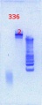 Thumbnail for version as of 09:05, 10 April 2013